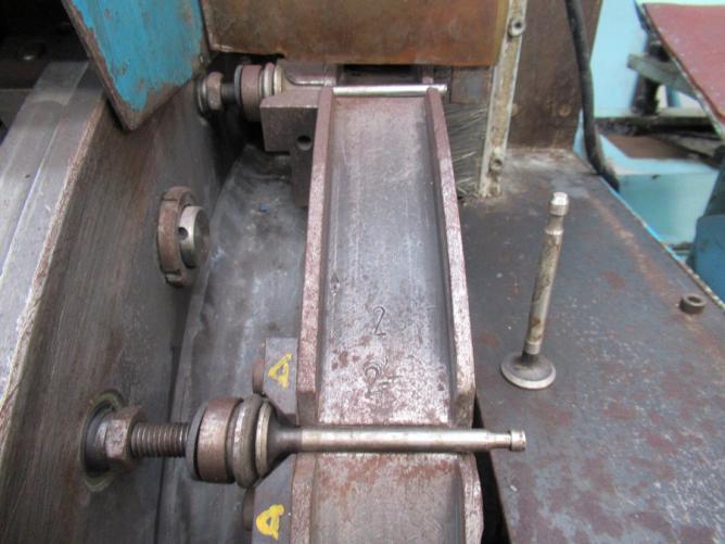VIOTTO RROV 1
